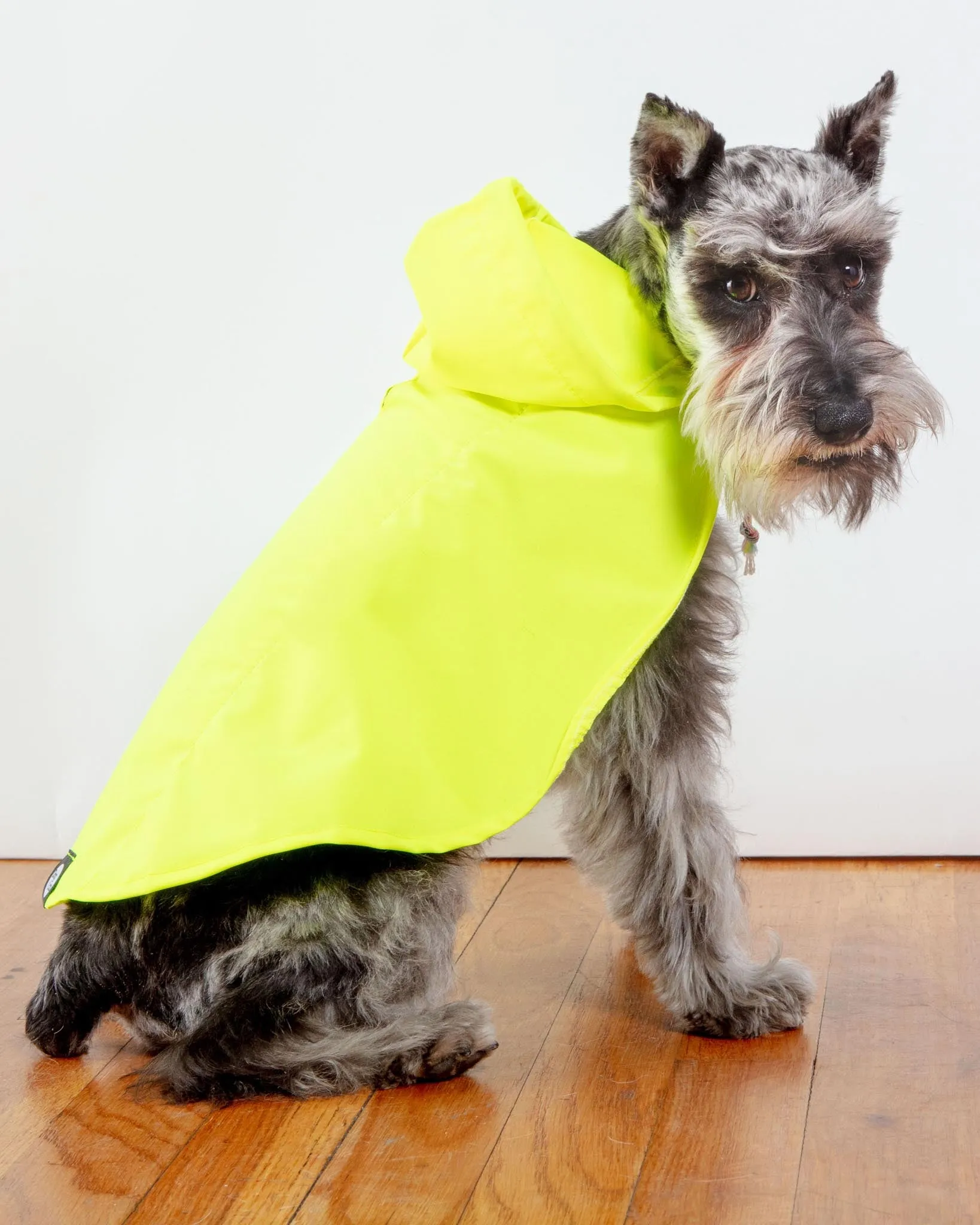 Action Jacket Pull-On Raincoat in Safety Yellow   Blue (Made in NYC)