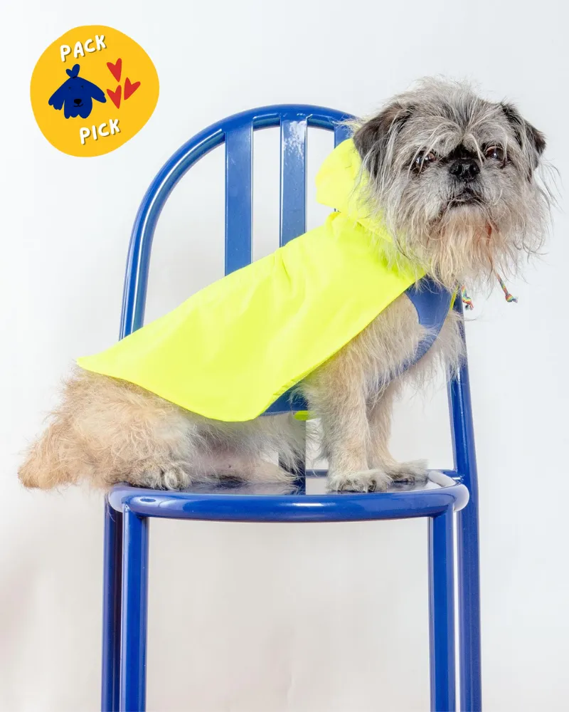 Action Jacket Pull-On Raincoat in Safety Yellow   Blue (Made in NYC)