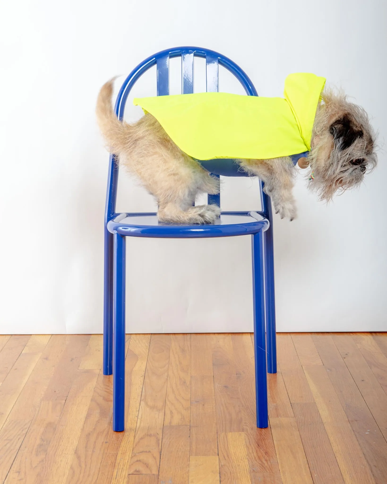 Action Jacket Pull-On Raincoat in Safety Yellow   Blue (Made in NYC)