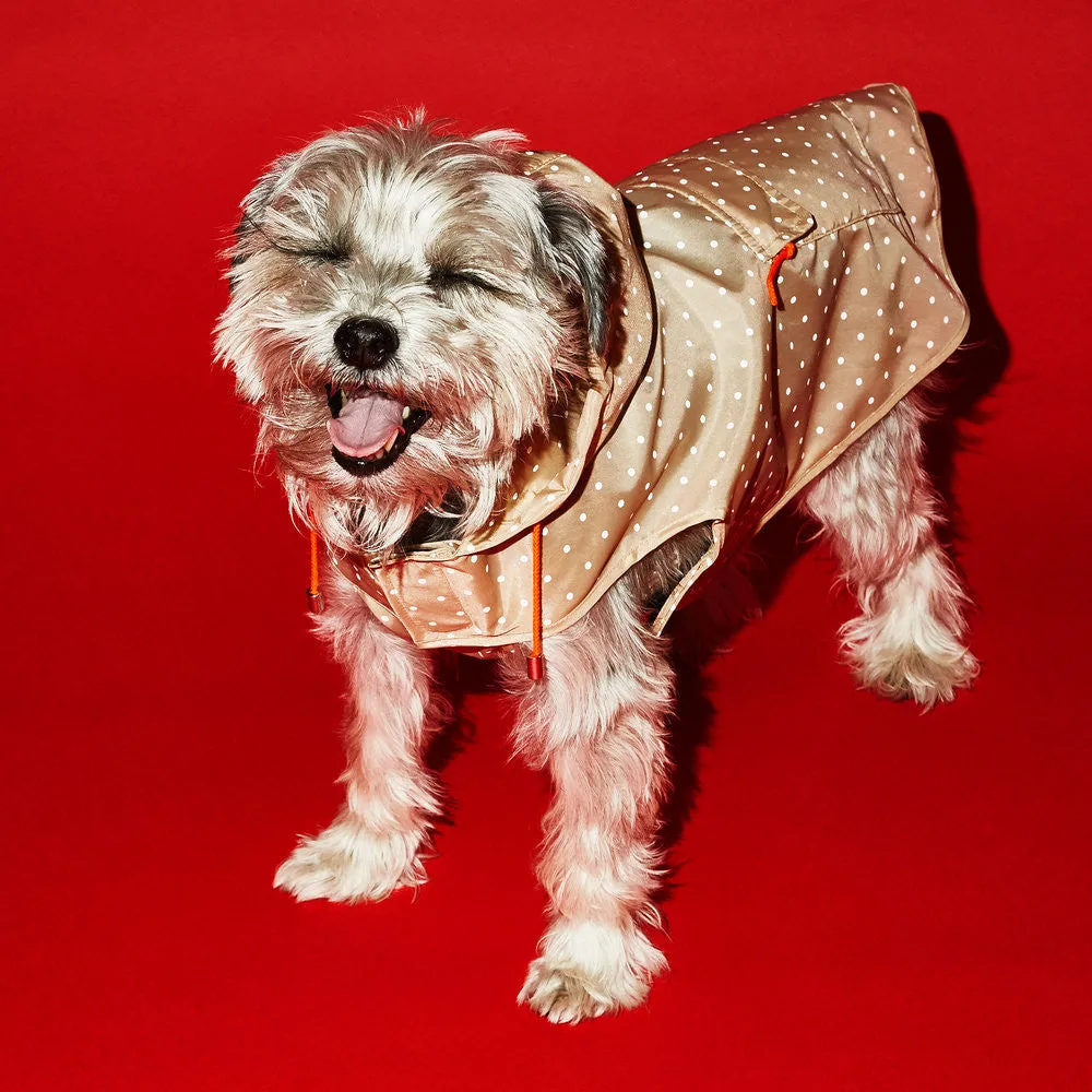 Anorak Dog Raincoat with Hood: Tan / White Polka Dot