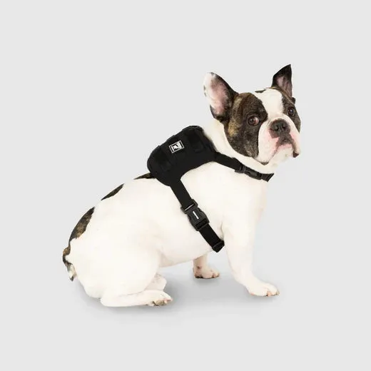 Canada Pooch Pack It Jacket Black & Yellow