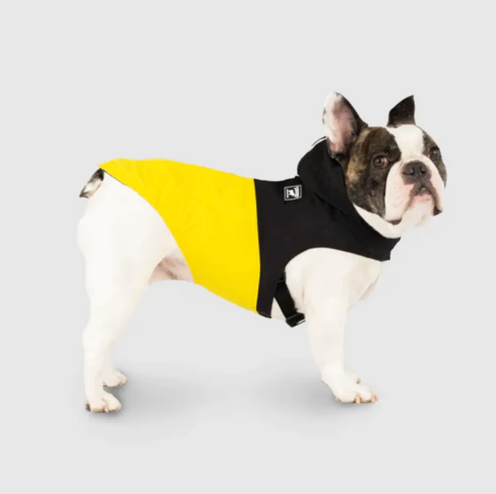 Canada Pooch Pack It Jacket Black & Yellow