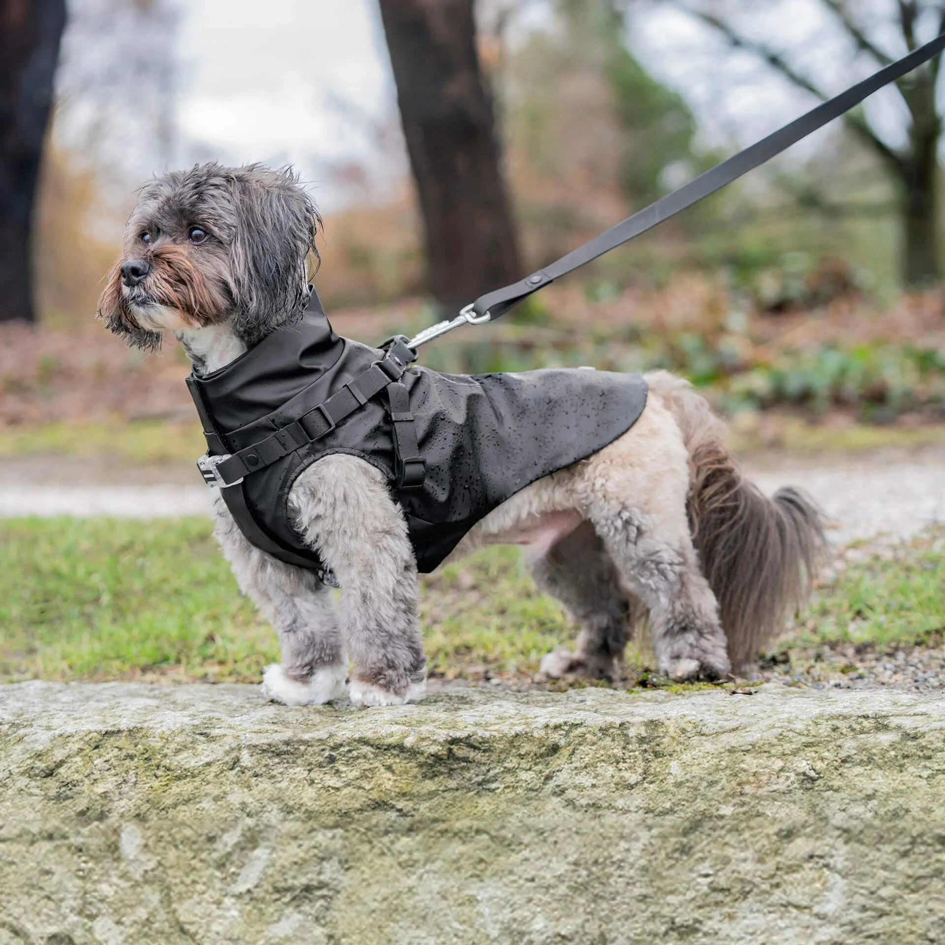 Harness Raincoat