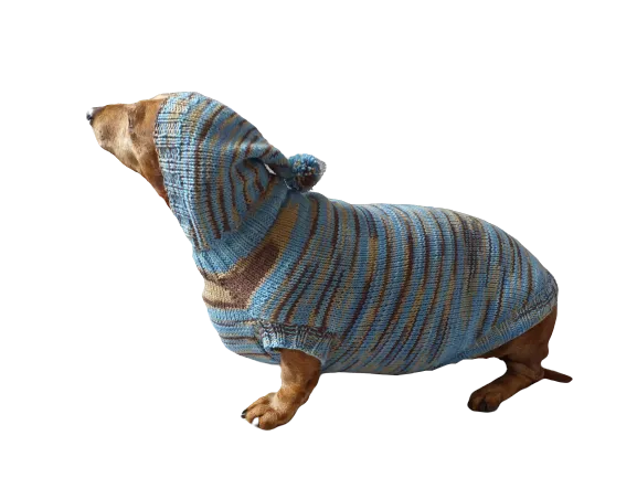 Knitted hoodie sweater for dog, hoodie for miniature dachshund