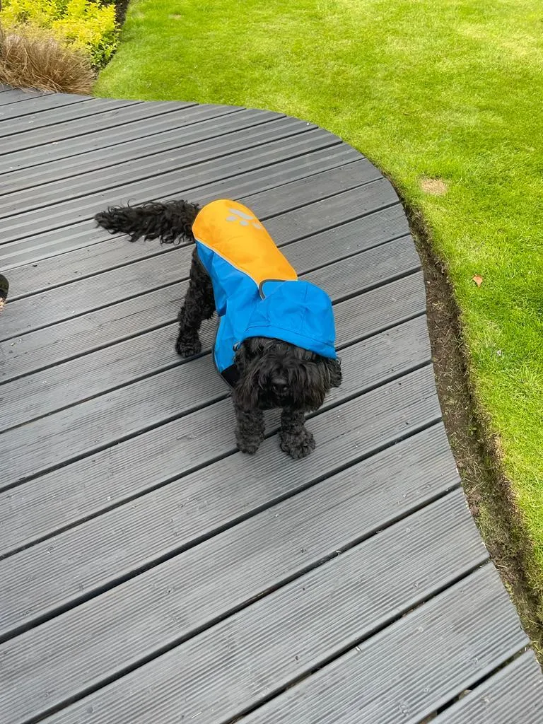 Pet Waterproof Dog Raincoat with Hi Vis Panel adjustable Velcro well made Size Medium