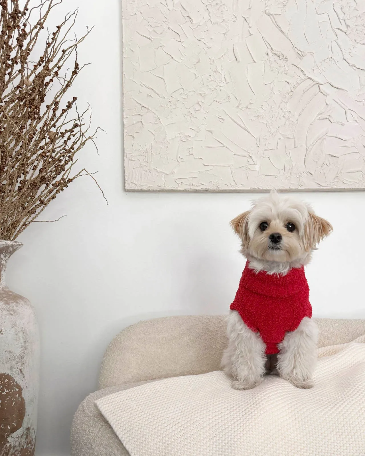 Red Fuzzy Pet Sweater