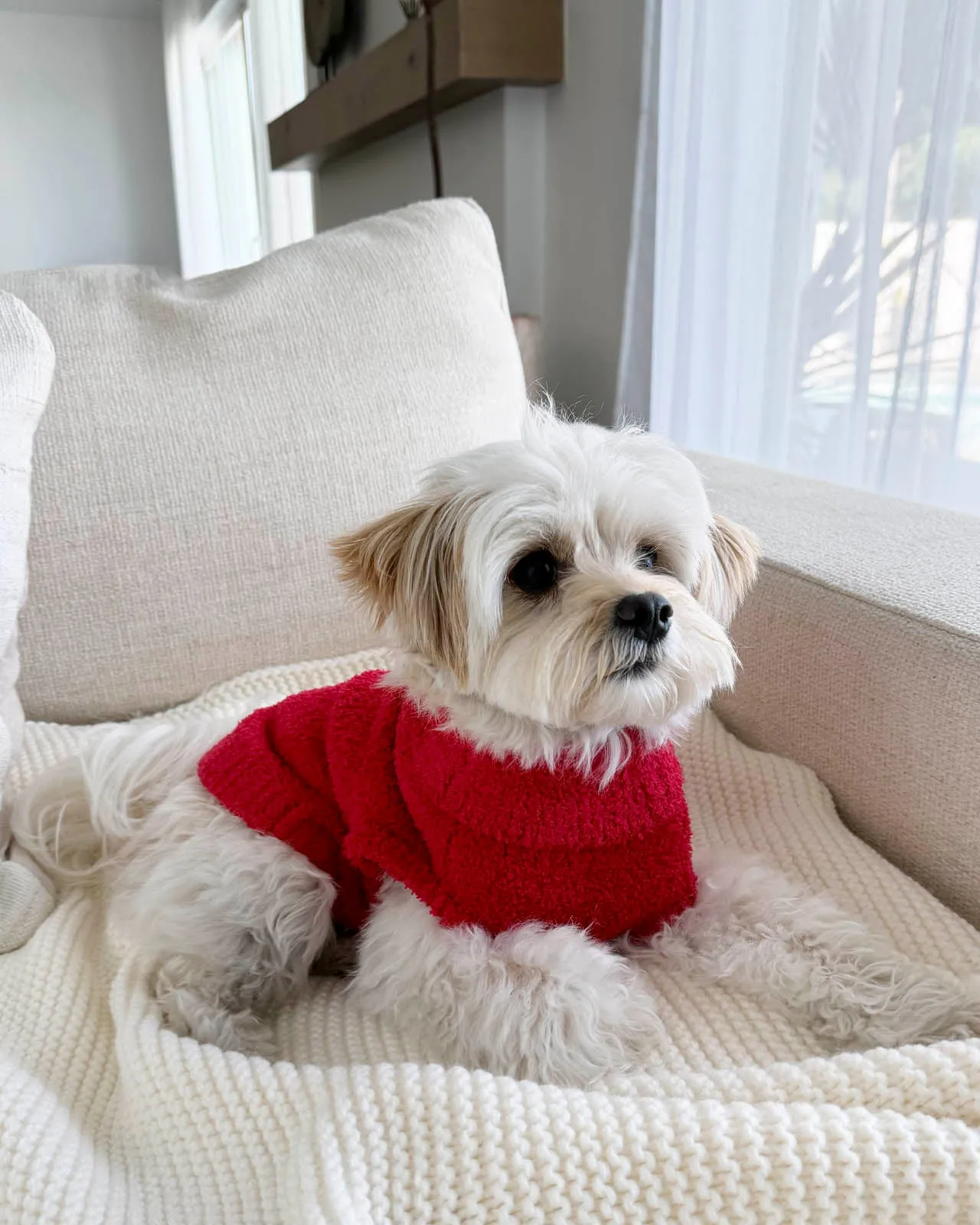 Red Fuzzy Pet Sweater