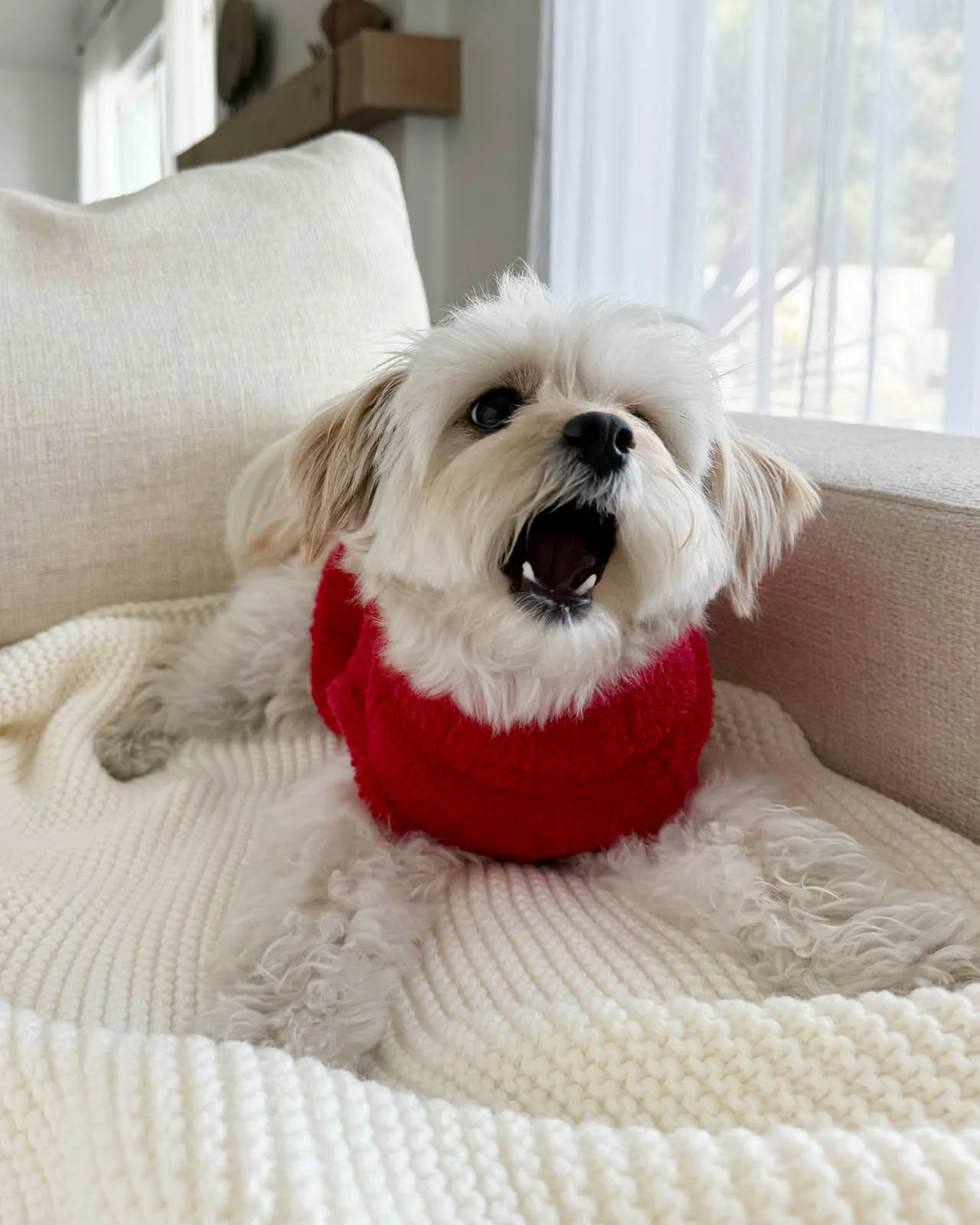 Red Fuzzy Pet Sweater