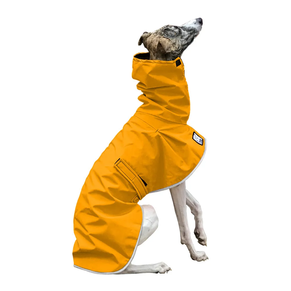 Whippet Raincoat